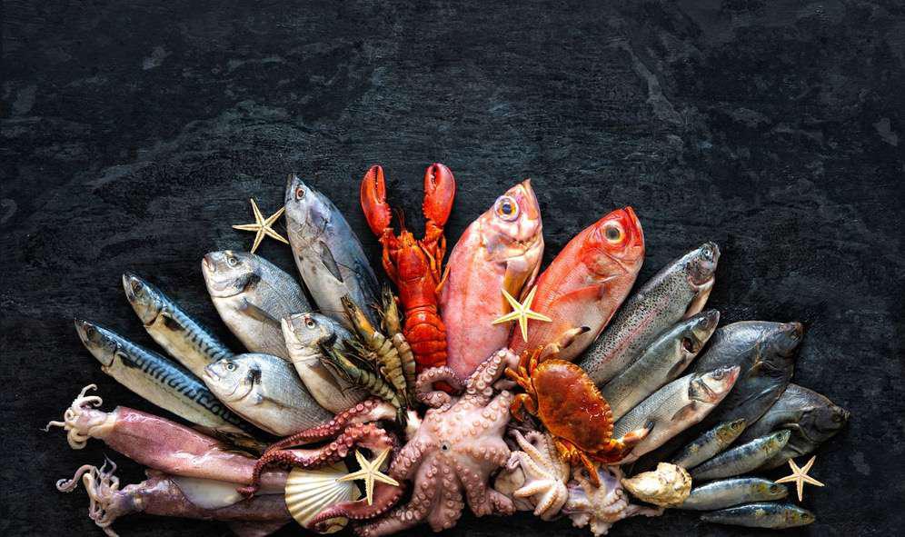 seafood